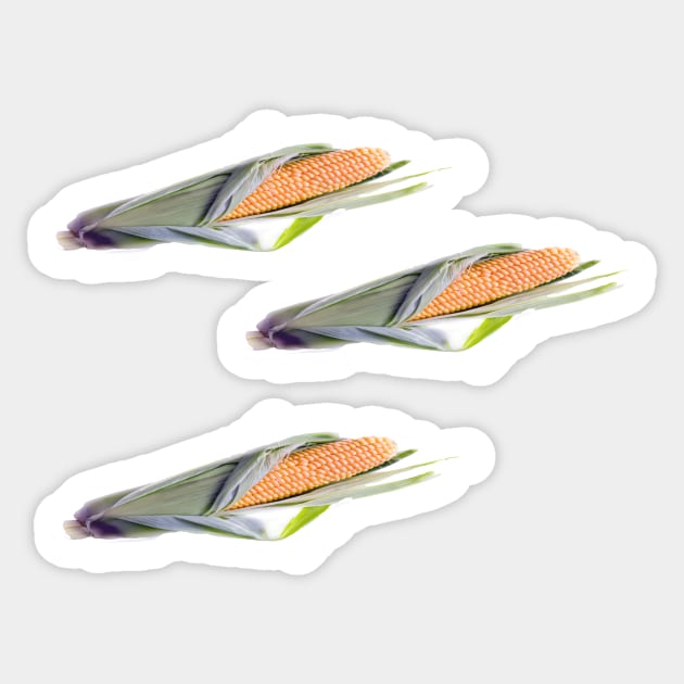 Corn Sticker by ampp